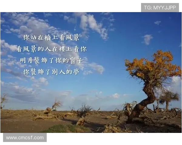 杨芳专访:从初学者到攀岩高手的心路历程与成长故事 杨芳专访:从初学者到攀岩高手的心路历程与成长故事