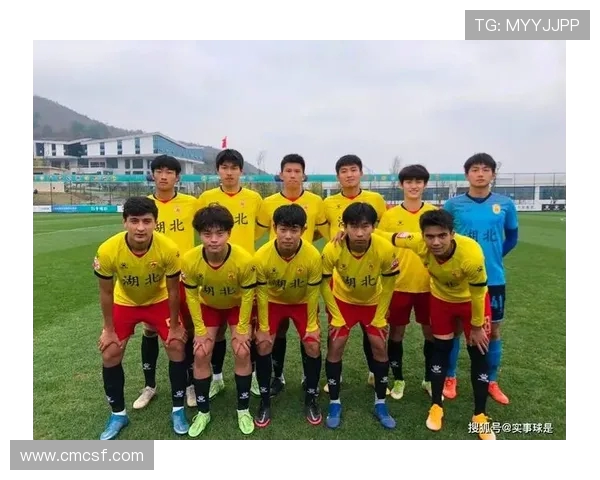 武汉足球队荣登足球战术排行榜第十名引发热议与关注