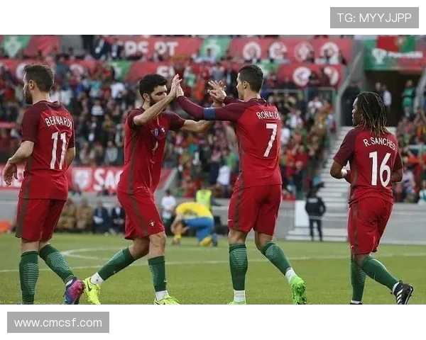 深圳排球队以83分领跑欧锦赛积分榜展现强劲实力