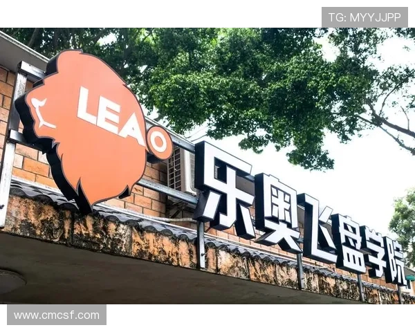 深圳飞盘队与上海飞盘队赛后复盘意识对比分析与总结