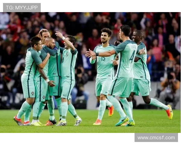 挪威vs瑞典欢呼吧