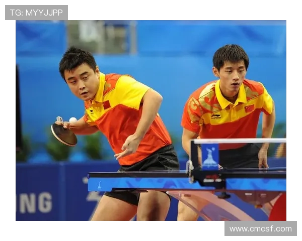 北京乒乓球队在世界锦标赛中的战术运用与表现分析